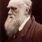 Darwin