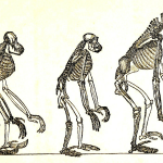 Can Evolution explain morality? Universe Senses Naturalism