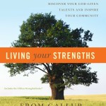 StrengthsFinder Strength Themes Book Communities Faith